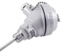 EMKO - RTKR-M08-L100.1 - TERMOKUPL KAFALI 1XPT100 ÇAP 8MM BOY 10CM REKORLU